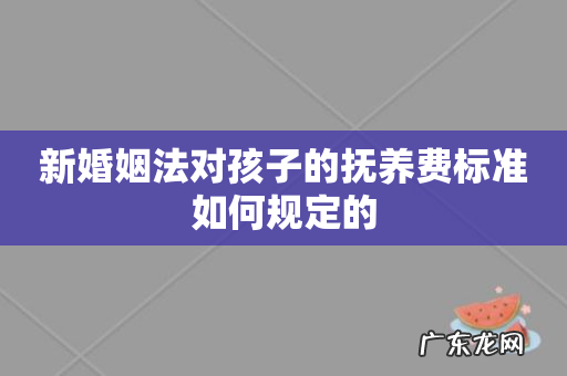 新婚姻法对孩子的抚养费标准如何规定的