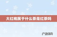 大红袍属于什么茶是红茶吗