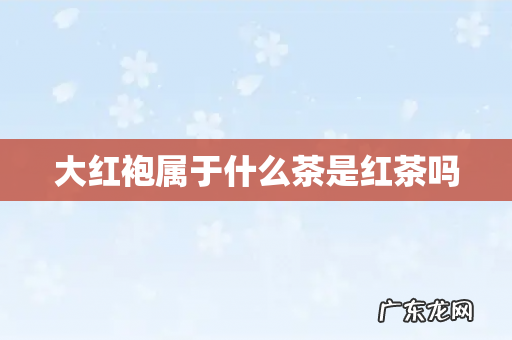 大红袍属于什么茶是红茶吗