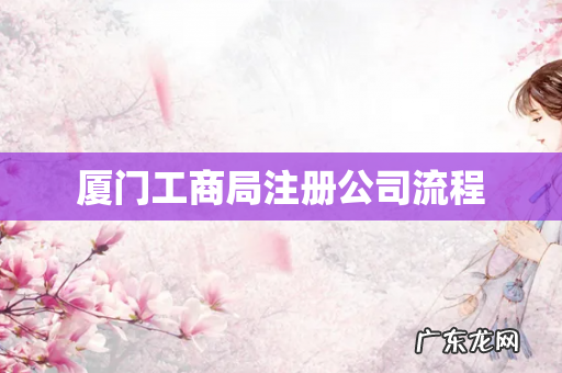 厦门工商局注册公司流程