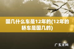 12年的轿车是国几的 国几什么车是12年的