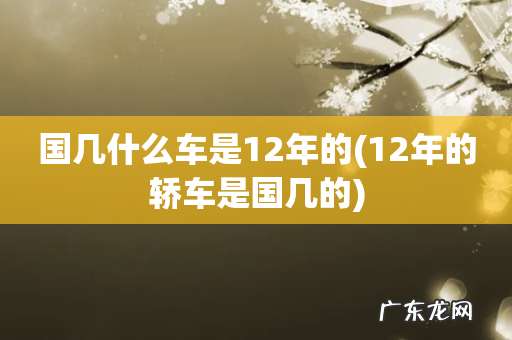12年的轿车是国几的 国几什么车是12年的