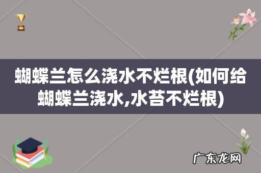 如何给蝴蝶兰浇水,水苔不烂根 蝴蝶兰怎么浇水不烂根