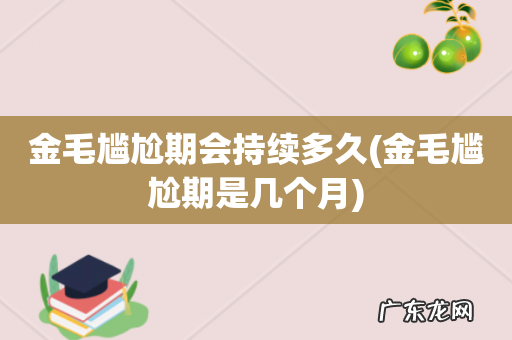 金毛尴尬期是几个月 金毛尴尬期会持续多久