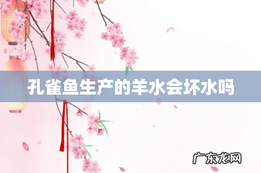 孔雀鱼生产的羊水会坏水吗