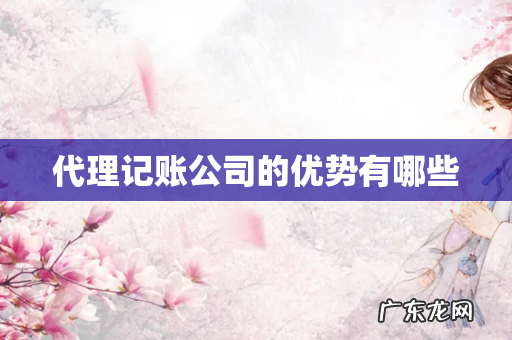 代理记账公司的优势有哪些