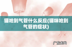 猫咪呛到气管的症状 猫呛到气管什么反应