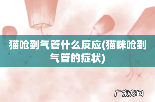 猫咪呛到气管的症状 猫呛到气管什么反应