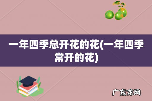 一年四季常开的花 一年四季总开花的花