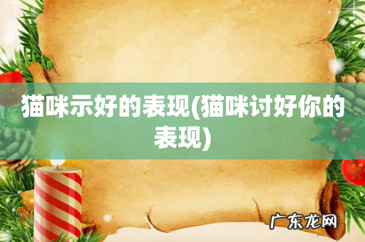 猫咪讨好你的表现 猫咪示好的表现