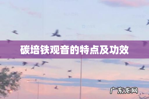 碳培铁观音的特点及功效