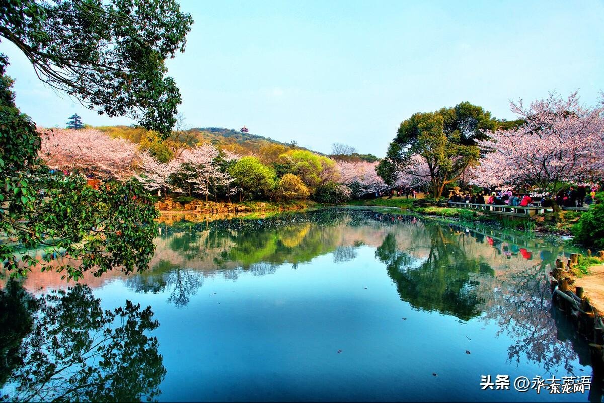 英语科技创新大赛作品 英语创新作文大赛范文