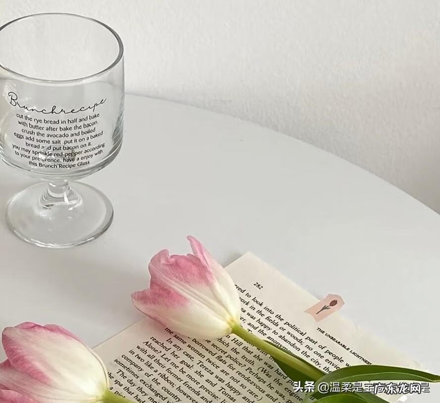 口才与社交礼仪的重要性 社交礼仪与口才心得体会