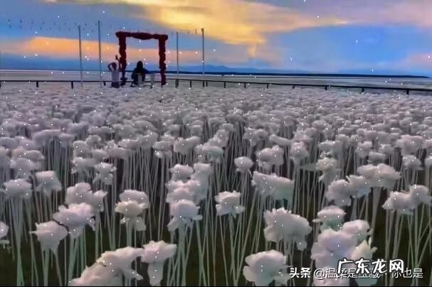 口才与社交礼仪的重要性 社交礼仪与口才心得体会