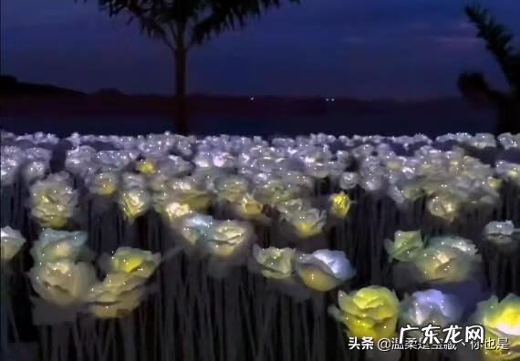 口才与社交礼仪的重要性 社交礼仪与口才心得体会