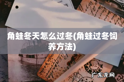 角蛙过冬饲养方法 角蛙冬天怎么过冬