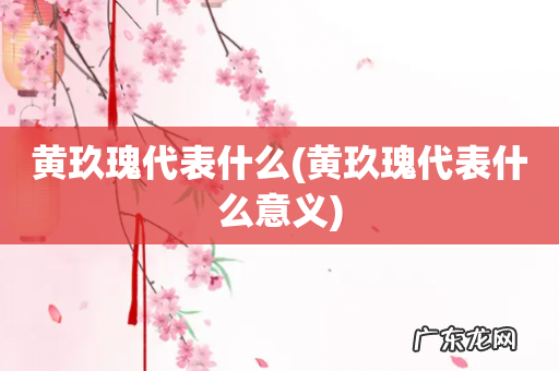 黄玖瑰代表什么意义 黄玖瑰代表什么