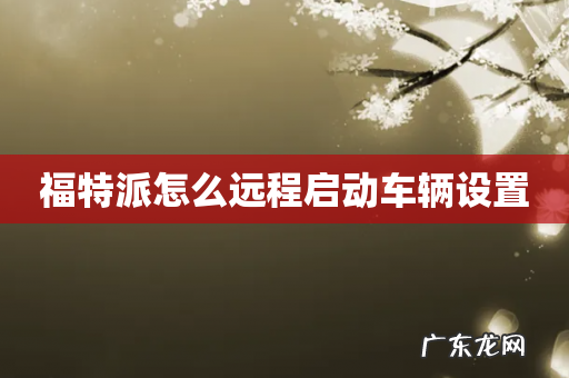 福特派怎么远程启动车辆设置