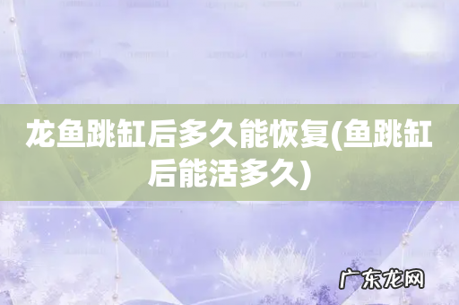 鱼跳缸后能活多久 龙鱼跳缸后多久能恢复