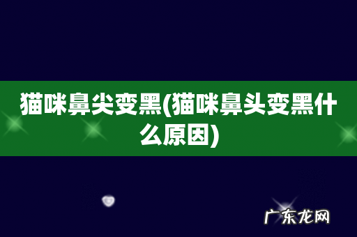 猫咪鼻头变黑什么原因 猫咪鼻尖变黑