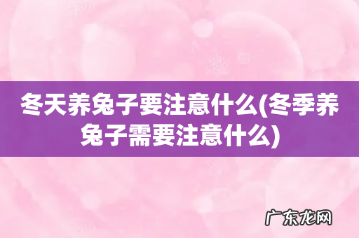 冬季养兔子需要注意什么 冬天养兔子要注意什么