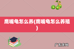 鹰嘴龟怎么养殖 鹰嘴龟怎么养