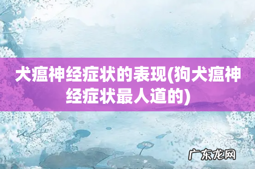 狗犬瘟神经症状最人道的 犬瘟神经症状的表现