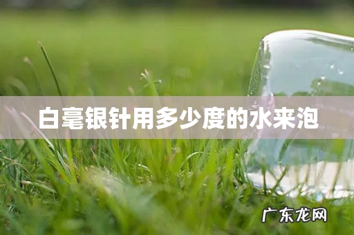 白毫银针用多少度的水来泡