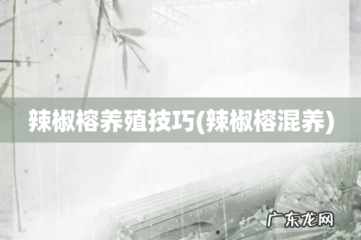 辣椒榕混养 辣椒榕养殖技巧