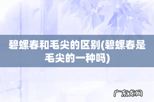 碧螺春是毛尖的一种吗 碧螺春和毛尖的区别