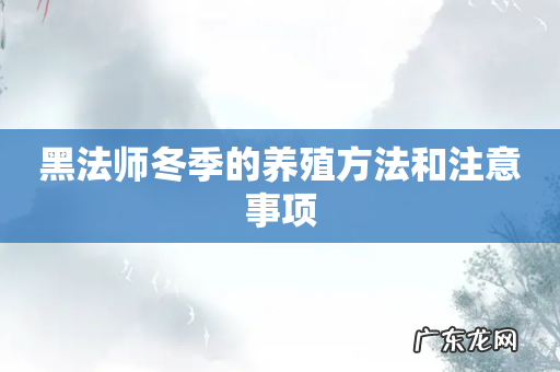 黑法师冬季的养殖方法和注意事项