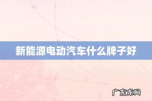 新能源电动汽车什么牌子好