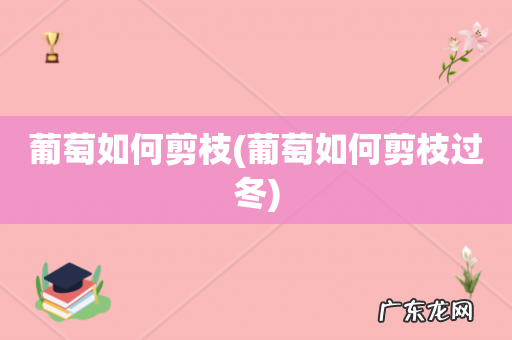 葡萄如何剪枝过冬 葡萄如何剪枝