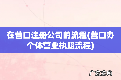 营口办个体营业执照流程 在营口注册公司的流程