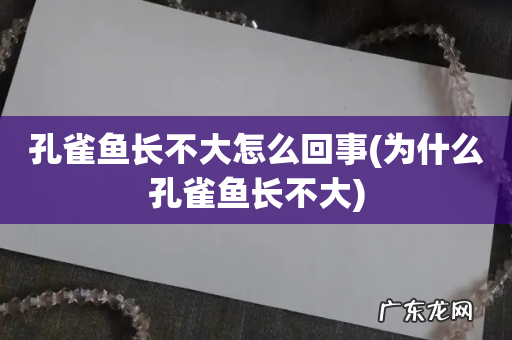 为什么孔雀鱼长不大 孔雀鱼长不大怎么回事