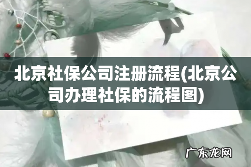 北京公司办理社保的流程图 北京社保公司注册流程