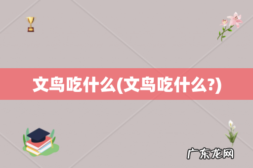 文鸟吃什么? 文鸟吃什么