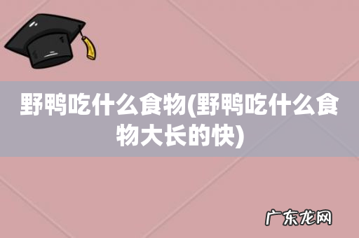 野鸭吃什么食物大长的快 野鸭吃什么食物