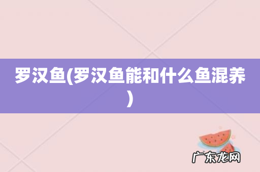 罗汉鱼能和什么鱼混养 罗汉鱼