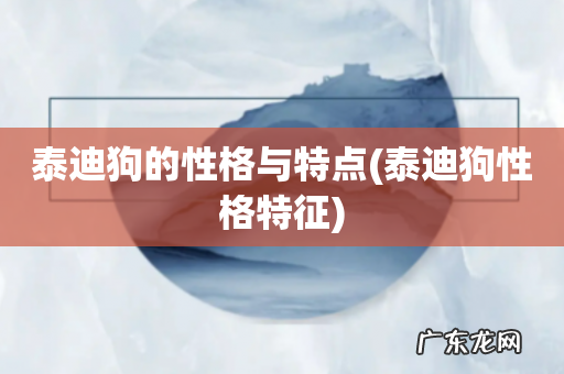 泰迪狗性格特征 泰迪狗的性格与特点