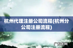 杭州分公司注册流程 杭州代理注册公司流程
