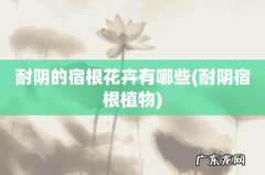 耐阴宿根植物 耐阴的宿根花卉有哪些