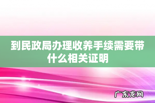 到民政局办理收养手续需要带什么相关证明