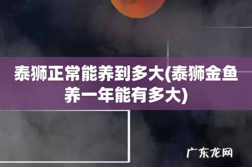 泰狮金鱼养一年能有多大 泰狮正常能养到多大