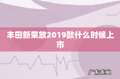丰田新荣放2019款什么时候上市