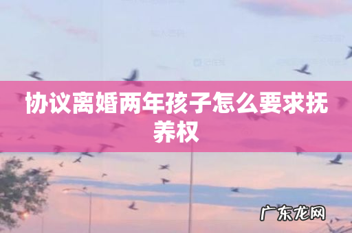 协议离婚两年孩子怎么要求抚养权