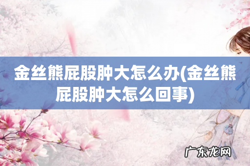 金丝熊屁股肿大怎么回事 金丝熊屁股肿大怎么办