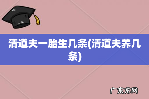 清道夫养几条 清道夫一胎生几条