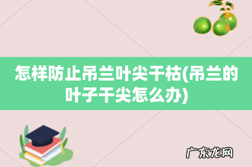 吊兰的叶子干尖怎么办 怎样防止吊兰叶尖干枯