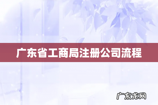 广东省工商局注册公司流程